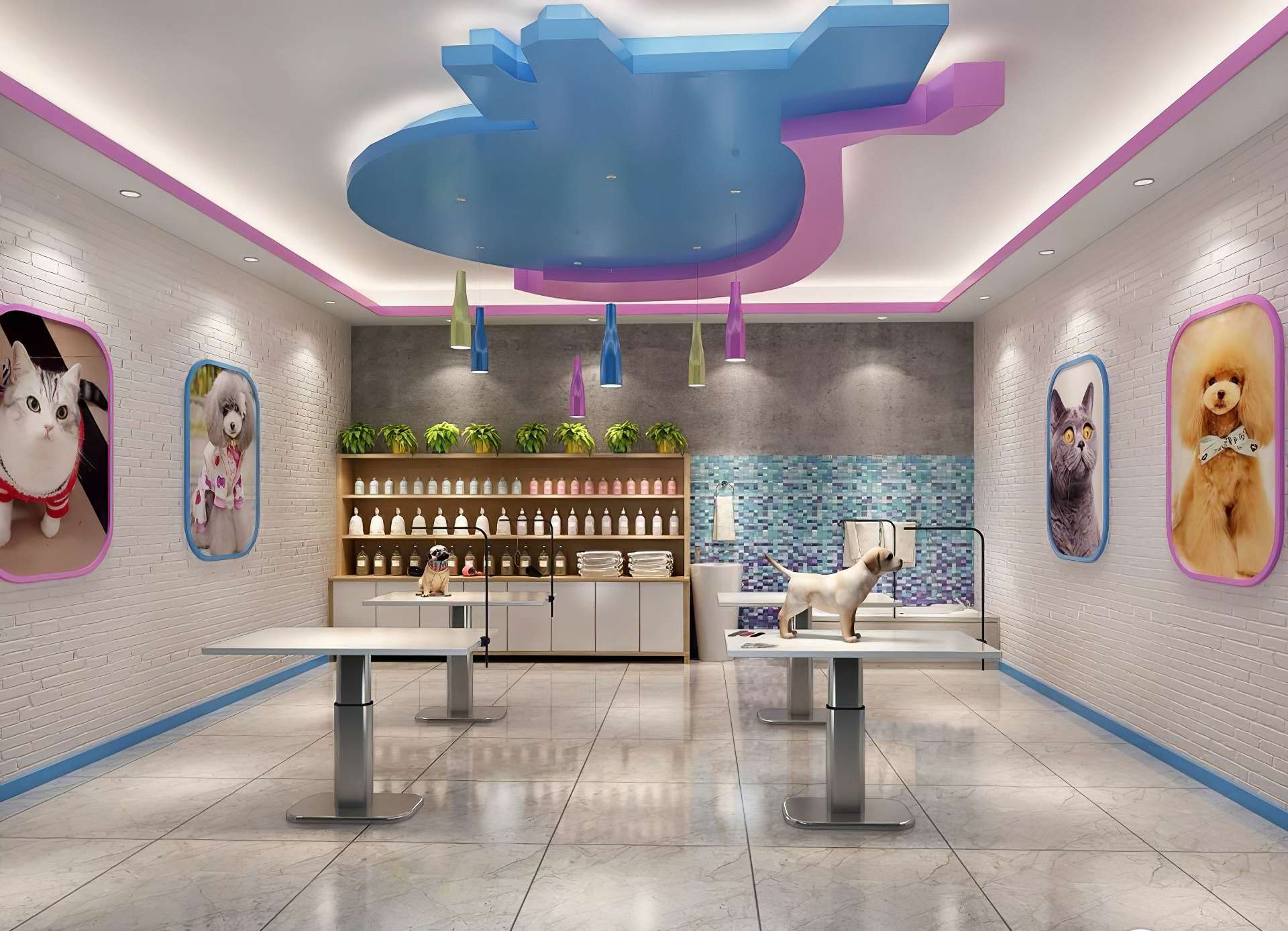 1661242105612659.jpg 鄭州寵物店裝修設計